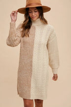 Amber Colorblock Turtleneck Sweater Dress_4