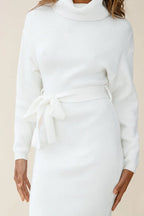 Bente Belted Turtleneck Midi Dress_7