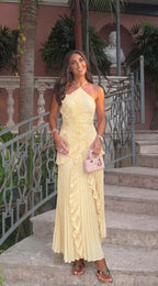 Hedda Halter Neck Pleated Maxi Dress_2