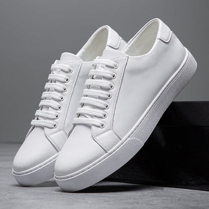 Shadow Street Sneakers