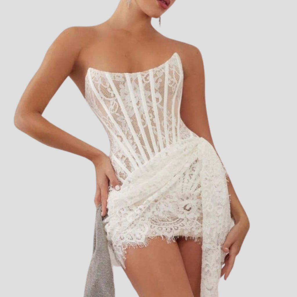 Guusje Strapless Lace Mini Dress_2