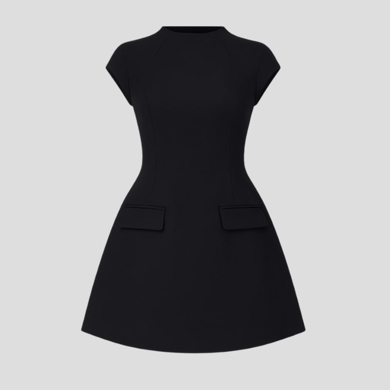 Puck Cap Sleeve A-Line Mini Dress_1