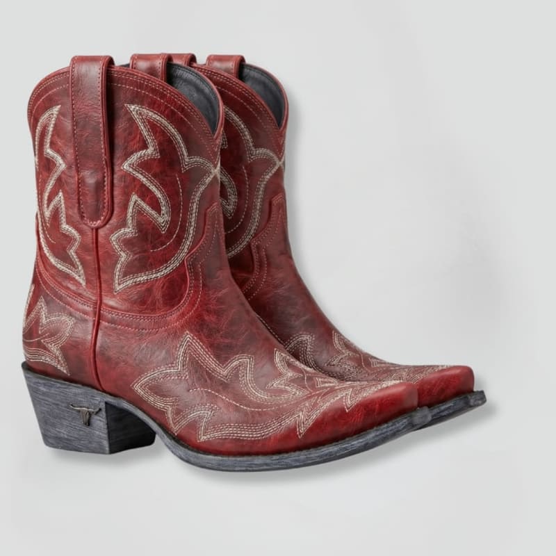 Ximena Embroidered Leather Cowboy Boots_1