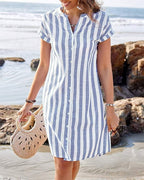 Wende Striped Button Front Shirt Dress_3